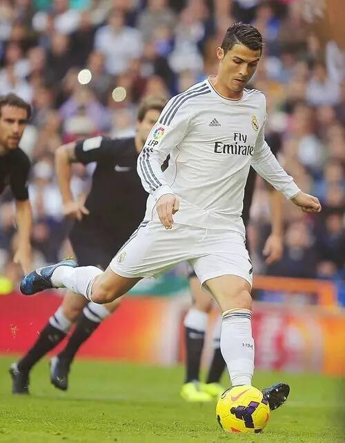 品牌检索度 品牌检索度