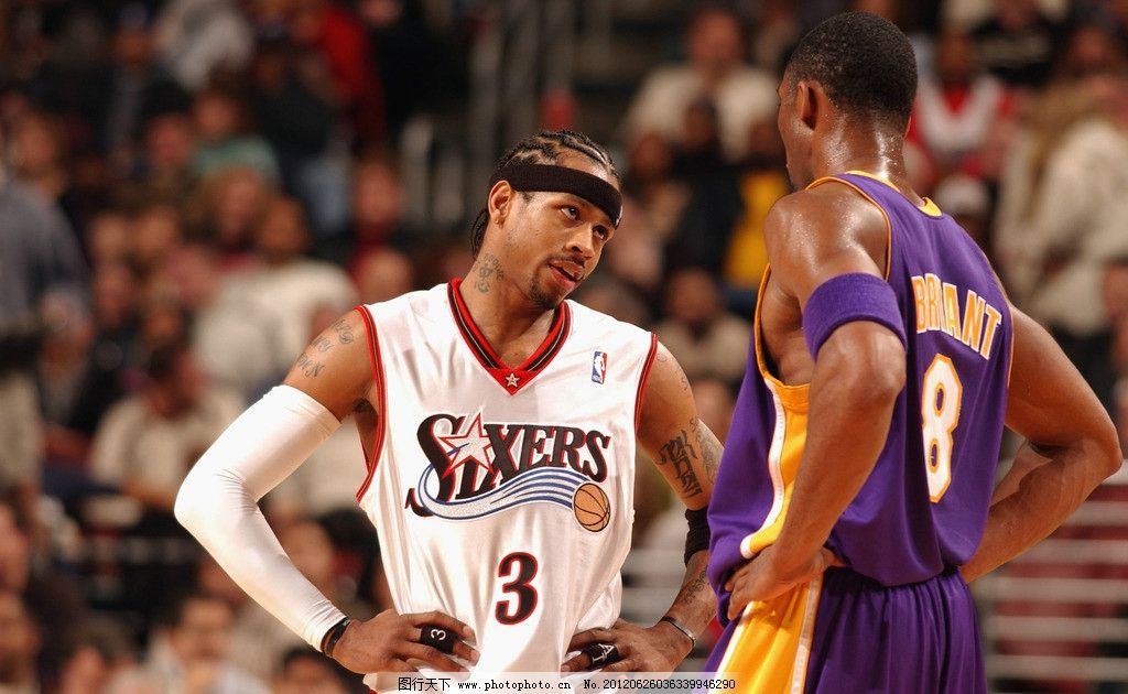 左尾广布 左尾广布