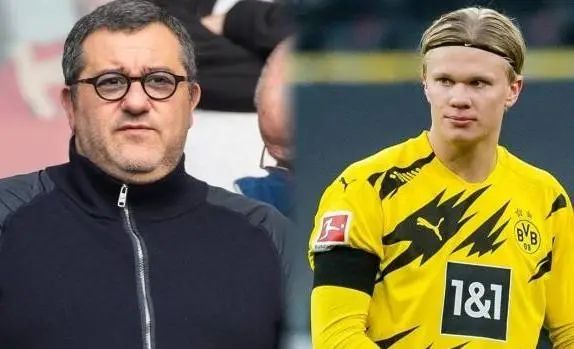 案例参照与 案例参照与